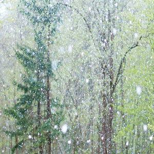 裸吊自慰喷浓精Gay
